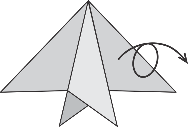 Flip the Model to the Other Side