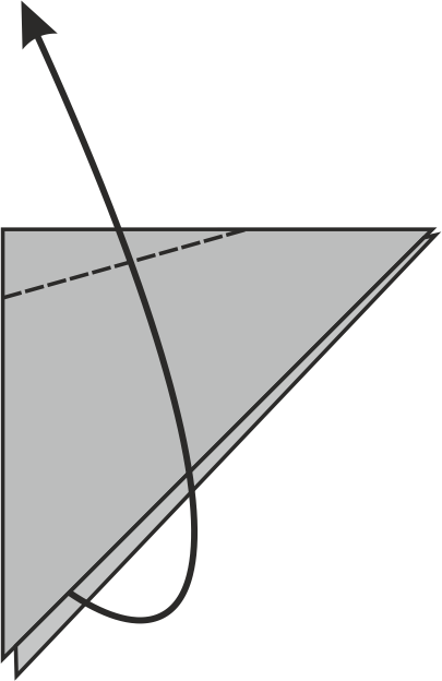 Fold one wing upwards