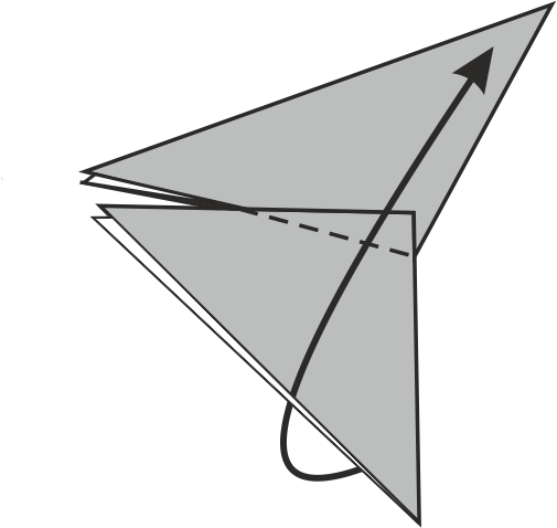 Fold the second wing upwards