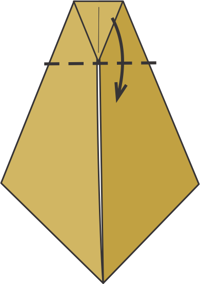 Fold the Top Flap Down