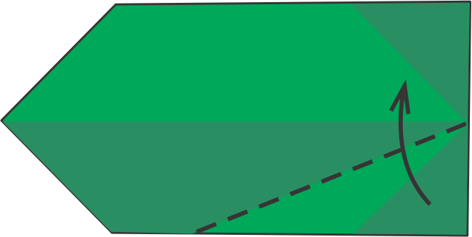 Fold the Bottom Right Corner Up