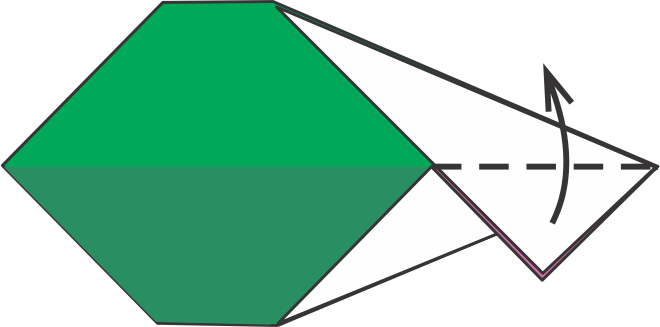 Fold the Top Fin Up