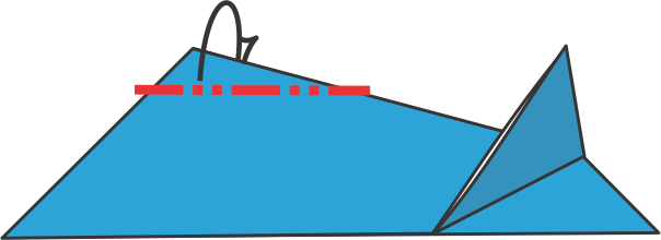 Fold the Back Fin