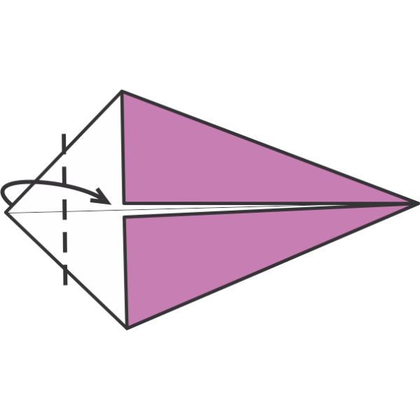 Fold the Left Tip Toward the Center