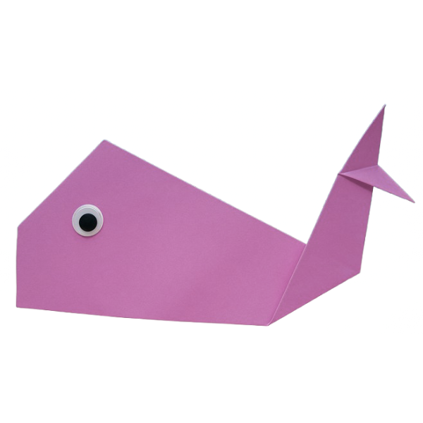 Decorate Your Whale