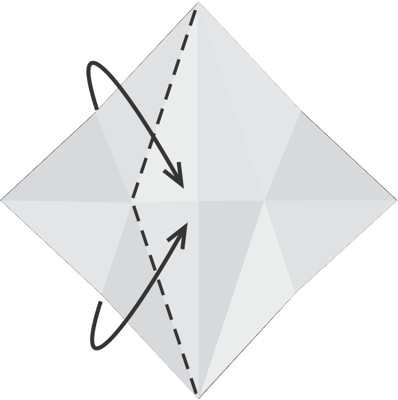 Collapse Left Side Along the Slanted Crease