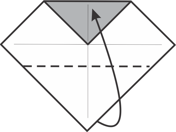 Fold the Bottom Corner Up to the Top Edge