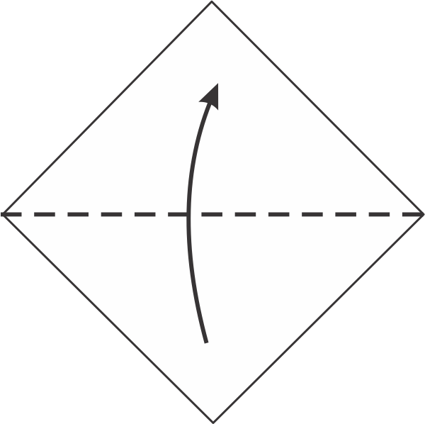 Fold the Bottom Corner Upward