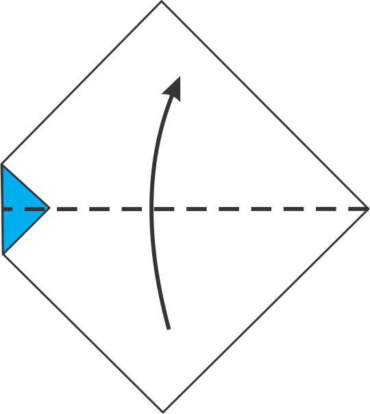 Fold the Bottom Corner Upward