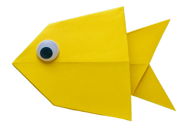 Add Final Touches to Your Reef Fish