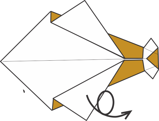Flip the Model