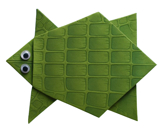 Make Your Turtle Unique with Decorations